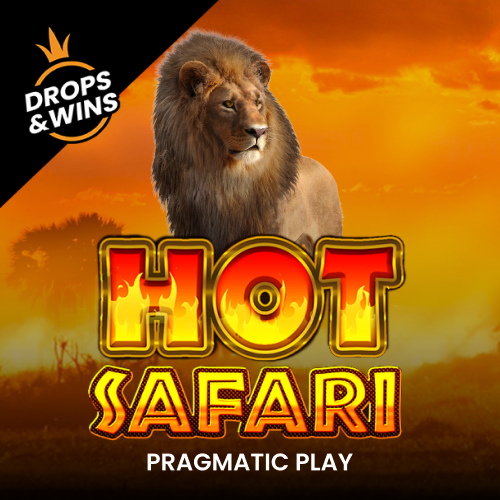 Hot Safari - screenshot with slot description 7